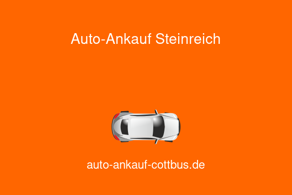Auto-Ankauf Steinreich